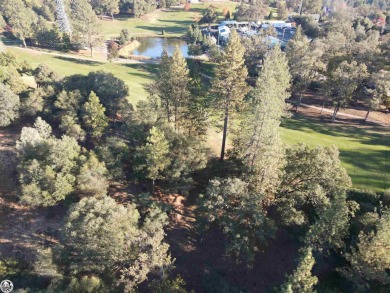 BUILD ON THE GOLF COURSE! This large golf course lot sits on a on Pine Mountain Lake Country Club in California - for sale on GolfHomes.com, golf home, golf lot
