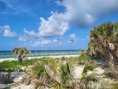 Under contract-accepting backup offers. This move-in ready home on The Dunedin Country Club in Florida - for sale on GolfHomes.com, golf home, golf lot