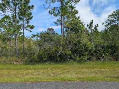 Come build your forever home on this one-half acre lot that on Indian Lake Estates Golf and Country Club in Florida - for sale on GolfHomes.com, golf home, golf lot