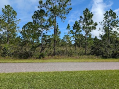 Come build your forever home on this one-half acre lot that on Indian Lake Estates Golf and Country Club in Florida - for sale on GolfHomes.com, golf home, golf lot