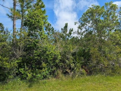 Come build your forever home on this one-half acre lot that on Indian Lake Estates Golf and Country Club in Florida - for sale on GolfHomes.com, golf home, golf lot