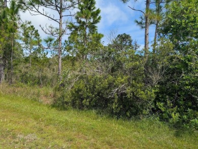 Come build your forever home on this one-half acre lot that on Indian Lake Estates Golf and Country Club in Florida - for sale on GolfHomes.com, golf home, golf lot