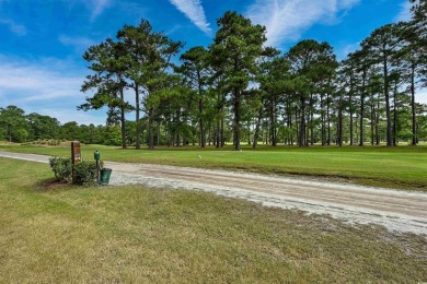 This immaculate 4-bedroom, 3-bath all-brick Executive residence on Eagle Nest Golf Club in South Carolina - for sale on GolfHomes.com, golf home, golf lot