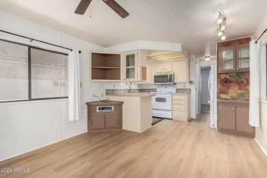 This light & bright 1-bedroom, 1-bath home has been lovingly on Viewpoint Golf Resort in Arizona - for sale on GolfHomes.com, golf home, golf lot