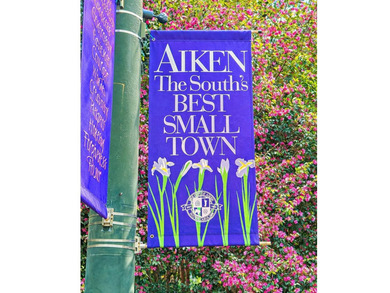 ''Downtown Aiken. One Acre. Endless Possibilities'' A on Palmetto Golf Club, Inc. in South Carolina - for sale on GolfHomes.com, golf home, golf lot