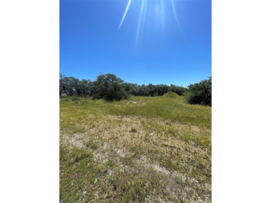 Build Your Dream Home in King's Point Cove - 0.38+- Acre Corner on Hideout Golf Club and Resort  in Texas - for sale on GolfHomes.com, golf home, golf lot
