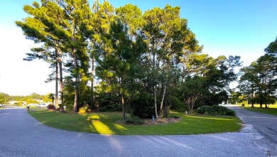 This rare lot offers the perfect setting to build your dream on Eagle Nest Golf Club in South Carolina - for sale on GolfHomes.com, golf home, golf lot