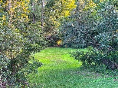 This rare lot offers the perfect setting to build your dream on Eagle Nest Golf Club in South Carolina - for sale on GolfHomes.com, golf home, golf lot