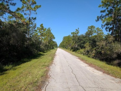 Come build your forever home on this one-half acre lot that on Indian Lake Estates Golf and Country Club in Florida - for sale on GolfHomes.com, golf home, golf lot