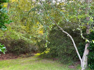 This rare lot offers the perfect setting to build your dream on Eagle Nest Golf Club in South Carolina - for sale on GolfHomes.com, golf home, golf lot