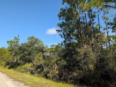 Come build your forever home on this one-half acre lot that on Indian Lake Estates Golf and Country Club in Florida - for sale on GolfHomes.com, golf home, golf lot