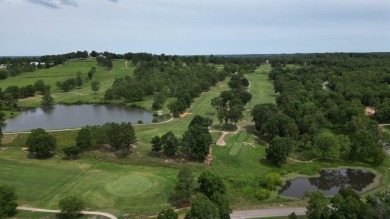 Discover this exquisite 3-bedroom, 3-bath Turkey Mountain Golf on The Course At Turkey Mountain in Arkansas - for sale on GolfHomes.com, golf home, golf lot