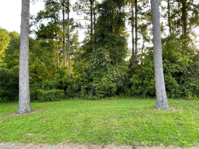 This rare lot offers the perfect setting to build your dream on Eagle Nest Golf Club in South Carolina - for sale on GolfHomes.com, golf home, golf lot