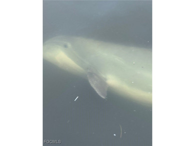 Discover Florida waterfront living at its finest in this on Burnt Store Golf Club in Florida - for sale on GolfHomes.com, golf home, golf lot