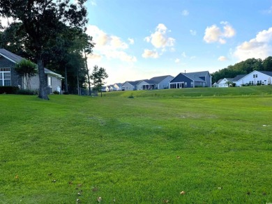 This rare lot offers the perfect setting to build your dream on Eagle Nest Golf Club in South Carolina - for sale on GolfHomes.com, golf home, golf lot