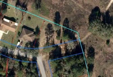 Build your dream home on one of the last lots facing the old on Williston Highlands Golf and Country Club in Florida - for sale on GolfHomes.com, golf home, golf lot