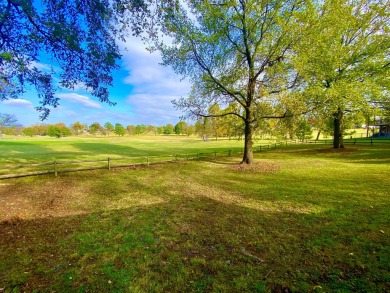 Golf course frontage, Grand Lake views and a boat slip! Wow! on Cherokee Grove Golf Club, Inc in Oklahoma - for sale on GolfHomes.com, golf home, golf lot