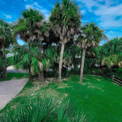 Gorgeous views from this tri-level 2nd row beach home. Lots of on The Plantation Course At Edisto in South Carolina - for sale on GolfHomes.com, golf home, golf lot