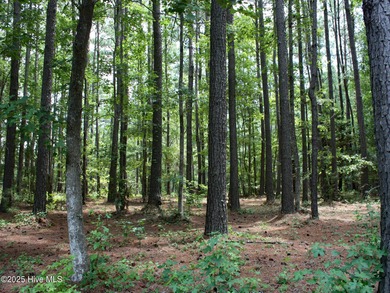 Looking for a large nicely wooded homesite in a low traffic on Ocean Ridge Plantation in North Carolina - for sale on GolfHomes.com, golf home, golf lot
