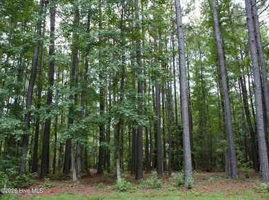 Looking for a large nicely wooded homesite in a low traffic on Ocean Ridge Plantation in North Carolina - for sale on GolfHomes.com, golf home, golf lot