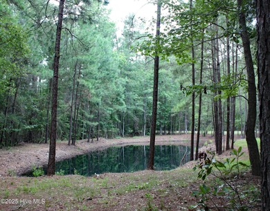 A wonderful large wooded homesite at the very end of Hanbury on Ocean Ridge Plantation in North Carolina - for sale on GolfHomes.com, golf home, golf lot
