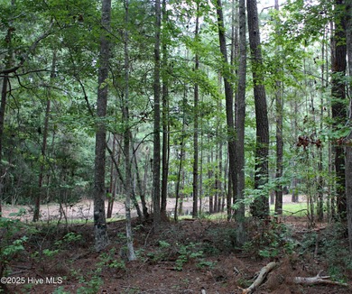A wonderful large wooded homesite at the very end of Hanbury on Ocean Ridge Plantation in North Carolina - for sale on GolfHomes.com, golf home, golf lot