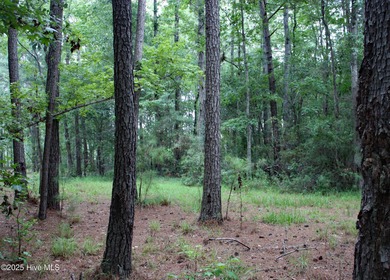 A wonderful large wooded homesite at the very end of Hanbury on Ocean Ridge Plantation in North Carolina - for sale on GolfHomes.com, golf home, golf lot