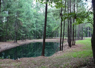 A wonderful large wooded homesite at the very end of Hanbury on Ocean Ridge Plantation in North Carolina - for sale on GolfHomes.com, golf home, golf lot