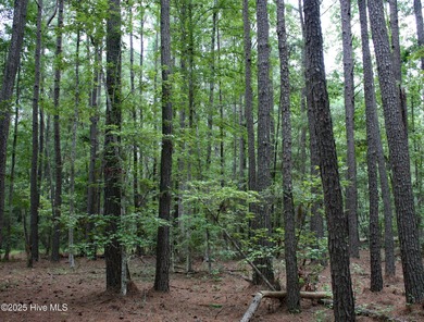 A wonderful large wooded homesite at the very end of Hanbury on Ocean Ridge Plantation in North Carolina - for sale on GolfHomes.com, golf home, golf lot