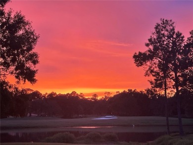 Welcome home to a million dollar view and lifestyle most can on Tuscawilla Country Club in Florida - for sale on GolfHomes.com, golf home, golf lot
