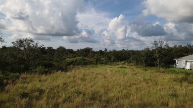 This is the perfect cleared lot to build your dream home on Sunnybreeze Golf Course in Florida - for sale on GolfHomes.com, golf home, golf lot