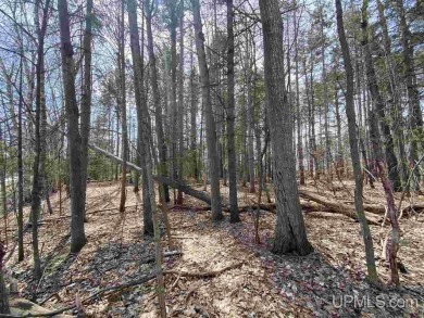 This phenomenal building site sits just a stones throw away from on Indian Lake Golf and Country Club in Michigan - for sale on GolfHomes.com, golf home, golf lot