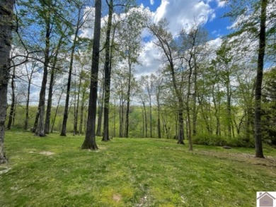 Looking for a spot to build a home?  Located in Cherokee Hills on Arrowhead Golf Club in Kentucky - for sale on GolfHomes.com, golf home, golf lot