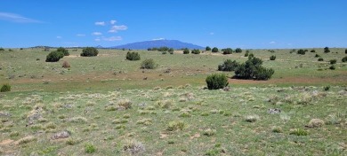 Beautiful mountain views and easy access!  Available now is this on Walsenburg Golf Club in Colorado - for sale on GolfHomes.com, golf home, golf lot