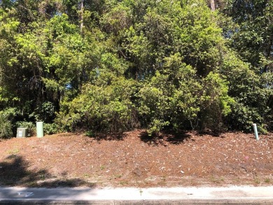 Don't miss this fantastic opportunity to own a premier on St. James Bay in Florida - for sale on GolfHomes.com, golf home, golf lot