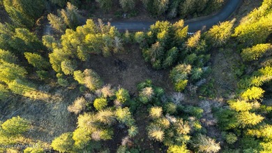 Discover the perfect North Idaho homesite on this 0.53-acre on The Idaho Club in Idaho - for sale on GolfHomes.com, golf home, golf lot