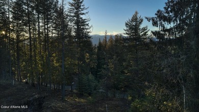 Discover the perfect North Idaho homesite on this 0.53-acre on The Idaho Club in Idaho - for sale on GolfHomes.com, golf home, golf lot