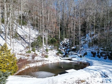 NEW HEAT PUMP and NEW ROOF - DEC 2025! Beautiful mountain home on Sky Valley Resort and Country Club in Georgia - for sale on GolfHomes.com, golf home, golf lot
