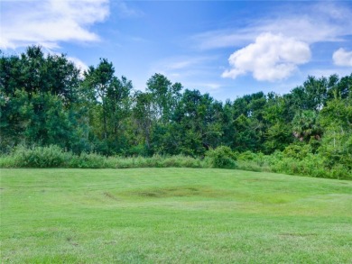 Beautiful End Unit Townhome in Gated Community!  Welcome to this on Ridgewood Lakes Golf and Country Club in Florida - for sale on GolfHomes.com, golf home, golf lot