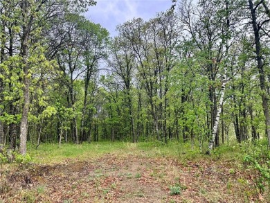 Wooded lot not far from Headwaters Golf Course and the Heartland on Headwaters Country Club in Minnesota - for sale on GolfHomes.com, golf home, golf lot
