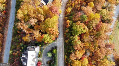 1.35 Acre Panoramic View Lot - Waterfall at Lake Burton on Waterfall Country Club in Georgia - for sale on GolfHomes.com, golf home, golf lot