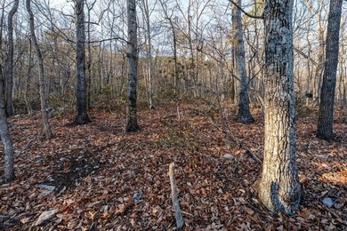 Escape to comfort and nature in this inviting 2BR/2BA bungalow on Woodstone Meadows Golf Course At Massanutten in Virginia - for sale on GolfHomes.com, golf home, golf lot