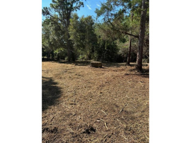 Build Your Florida Dream Home - 1 Acre in Coastal Lanark Escape on St. James Bay in Florida - for sale on GolfHomes.com, golf home, golf lot