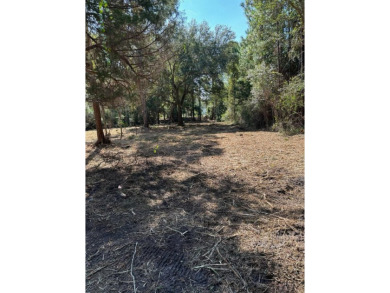 Build Your Florida Dream Home - 1 Acre in Coastal Lanark Escape on St. James Bay in Florida - for sale on GolfHomes.com, golf home, golf lot