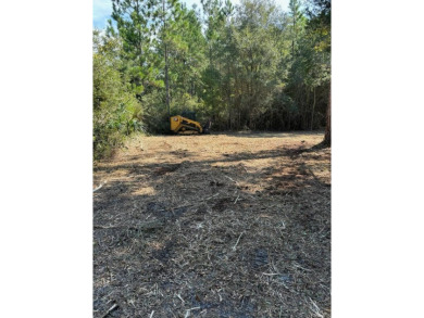 Build Your Florida Dream Home - 1 Acre in Coastal Lanark Escape on St. James Bay in Florida - for sale on GolfHomes.com, golf home, golf lot