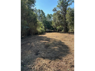 Build Your Florida Dream Home - 1 Acre in Coastal Lanark Escape on St. James Bay in Florida - for sale on GolfHomes.com, golf home, golf lot