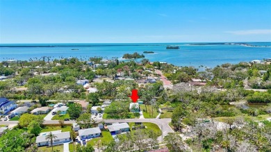 Exceptional Location! A Rare Opportunity in the Heart of on The Dunedin Country Club in Florida - for sale on GolfHomes.com, golf home, golf lot
