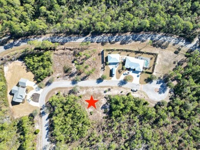 Build your dream home on this shovel ready premium lot in The on Saint Josephs Bay Country Club in Florida - for sale on GolfHomes.com, golf home, golf lot