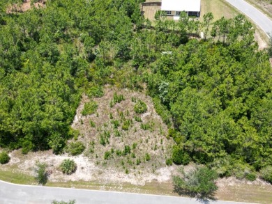 Build your dream home on this shovel ready premium lot in The on Saint Josephs Bay Country Club in Florida - for sale on GolfHomes.com, golf home, golf lot