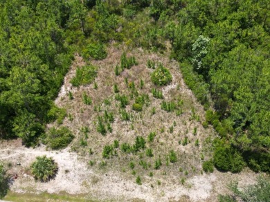 Build your dream home on this shovel ready premium lot in The on Saint Josephs Bay Country Club in Florida - for sale on GolfHomes.com, golf home, golf lot